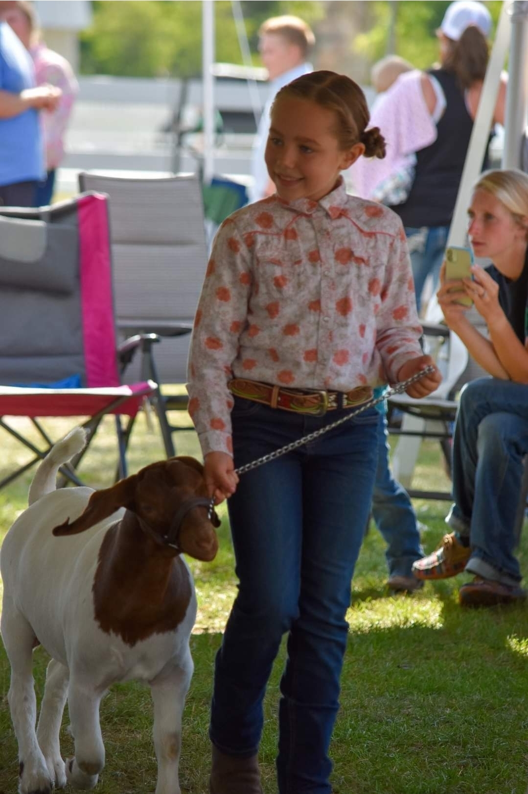 A young girl leading a goat on a halter.